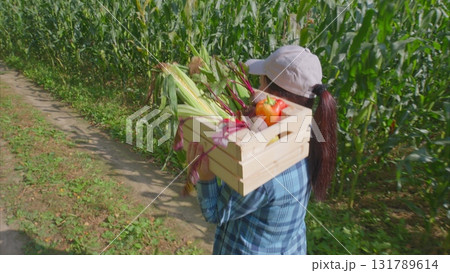 Harvesting Fresh and Healthy Vegetables in a Lush Green Field During the Daylight Hours 131789614