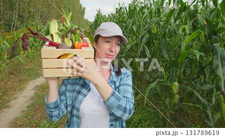 Harvest Time Fresh and colorful Vegetables in a lush Field ready for everyone to enjoy Harvest Time Fresh and colorful Vegetables in a lush Field ready for everyone to enjoy 131789619