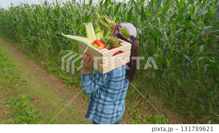 Harvesting Fresh and Colorful Vegetables in a Beautiful Cornfield Setting in the Countryside 131789621