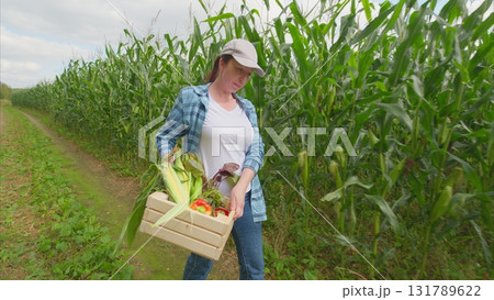 Enjoying the Thrill of Harvesting Fresh Vegetables Right in a Lush Cornfield Environment Enjoying the Thrill of Harvesting Fresh Vegetables Right in a Lush Cornfield Environment 131789622
