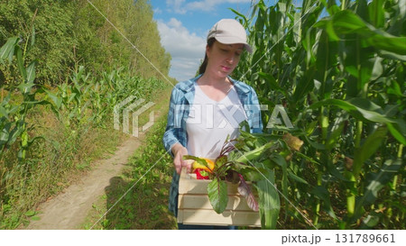 A Woman Engaged in the Activity of Harvesting Fresh Produce in a Lush Agricultural Field A Woman Engaged in the Activity of Harvesting Fresh Produce in a Lush Agricultural Field 131789661