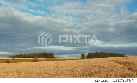A Serene and Tranquil Rural Landscape Featuring Lush Green Fields and a Dramatic Sky Above A Serene and Tranquil Rural Landscape Featuring Lush Green Fields and a Dramatic Sky Above 131789864
