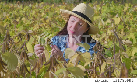Woman Carefully Examining Various Crops in a Lush Soybean Field During Summer Days 131789999