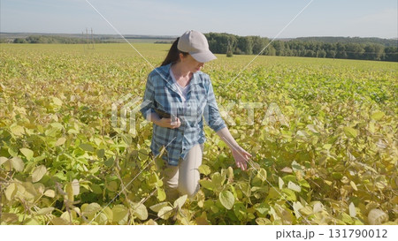 A woman in a green soybeans field assesses crops with a device, gathering key data to enhance growth A woman in a green soybeans field assesses crops with a device, gathering key data to enhance growth 131790012
