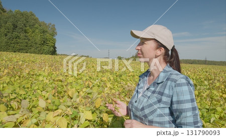 A woman dedicated to agriculture is carefully inspecting a soybeans crop field under a clear blue sky 131790093