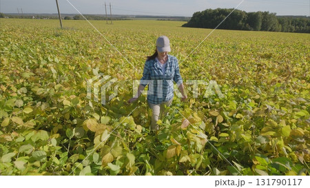 A Woman in a Vibrant soybeans Field of Lush Greens During Bright Daylight Surrounded by Nature 131790117