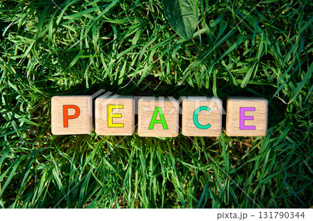 Top view of wooden cubes with multicolor PEACE text on fresh green grass 131790344