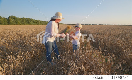 Delightful and Joyful Moments Shared in a Wheat Field Between a Loving Mother and Her Child 131790784