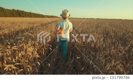 A Child Adventurously Exploring a Lush Wheat Field During the Beautiful Golden Hour A Child Adventurously Exploring a Lush Wheat Field During the Beautiful Golden Hour 131790786