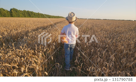 A Child Enjoying a Carefree Walk Through a Beautiful Wheat Field During a Gorgeous Sunset A Child Enjoying a Carefree Walk Through a Beautiful Wheat Field During a Gorgeous Sunset 131790788
