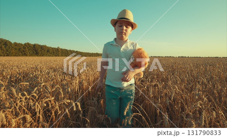 A delightful child happily playing in a vast wheat field while holding a plush toy 131790833