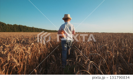 A Young Child Joyfully Walking Through a Golden Wheat Field During a Beautiful Sunset 131790834