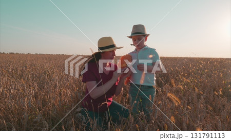 Delightful moments in a breathtaking golden field full of grain and vibrant life 131791113