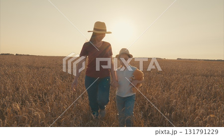 A Joyful Walk in a Stunning Golden Wheat Field at Sunset with a Loving Mother and Child 131791229