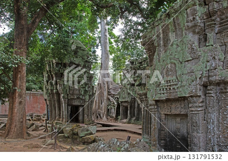 Ta Prohm temple ruins with tree roots Cambodia 131791532