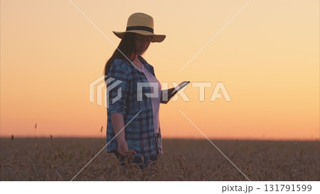 A Woman Using Her Smartphone While Enjoying the Beautiful Sunset in a Serene Field A Woman Using Her Smartphone While Enjoying the Beautiful Sunset in a Serene Field 131791599