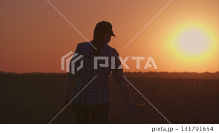 The Beautiful Sunset Silhouette in Open Fields Offers a Moment of Tranquility and Peace 131791654