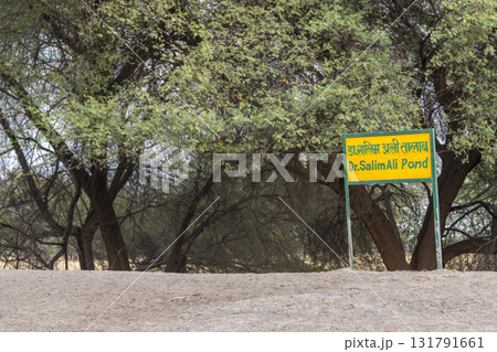 tal chhapar sanctuary, rajasthan, india, 5 Oct 2025 - signboard billboard placard in memory of Indian ornithologist and naturalist birdman of india doctor salim ali water pond for wild animals birds tal chhapar sanctuary, rajasthan, india, 5 Oct 2025 - signboard billboard placard in memory of Indian ornithologist and naturalist birdman of india doctor salim ali water pond for wild animals birds 131791661