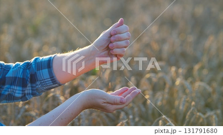 Natures Gesture Capturing the Beautiful Essence of Growth, Nurture, and Care in Life Natures Gesture Capturing the Beautiful Essence of Growth, Nurture, and Care in Life 131791680
