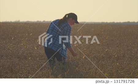 A woman works on a farm in a beautiful field at sunset, showcasing her dedication A woman works on a farm in a beautiful field at sunset, showcasing her dedication 131791726
