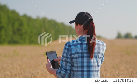 A woman is utilizing a tablet while standing in a vast wheat field, showcasing modern agriculture A woman is utilizing a tablet while standing in a vast wheat field, showcasing modern agriculture 131791815