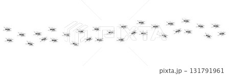 Ant trail. Walking group of black insects. Line of worker ants marching in search of food. Curve footpath of home pest isolated on transparent background. Vector Ant trail. Walking group of black insects. Line of worker ants marching in search of food. Curve footpath of home pest isolated on transparent background. Vector 131791961
