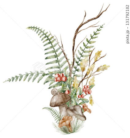 Watercolor bouquet with mushroom, cranberry and fern. Botanical Illustration of forest plants, branches and red fruits of lingonberry for seasonal greeting cards or invitations. Art for fall posters. Watercolor bouquet with mushroom, cranberry and fern. Botanical Illustration of forest plants, branches and red fruits of lingonberry for seasonal greeting cards or invitations. Art for fall posters. 131792182