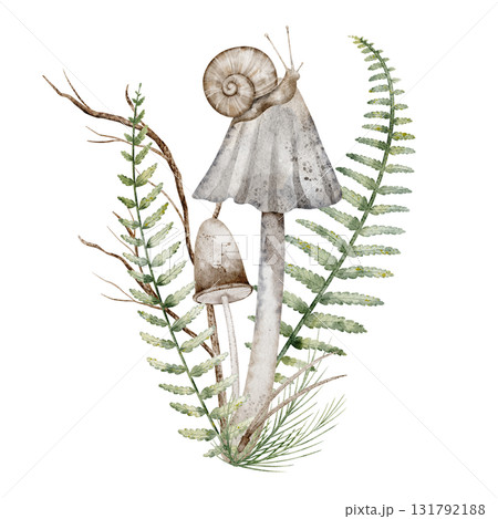 Watercolor illustration with mushrooms, fern and snail. Drawing of fungus with forest plants for autumn greeting card or botanical invitations. Art for woodland posters on isolated background. 131792188