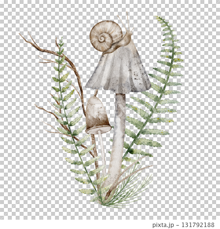 Watercolor illustration with mushrooms, fern and snail. Drawing of fungus with forest plants for autumn greeting card or botanical invitations. Art for woodland posters on isolated background. 131792188