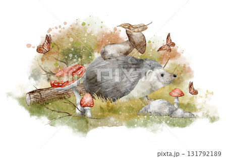 Watercolor Hedgehog among mushrooms, butterflies, and forest plants. Illustration of woodland animal for seasonal childish greeting cards or baby invitations. Art of scene with autumn plants. 131792189
