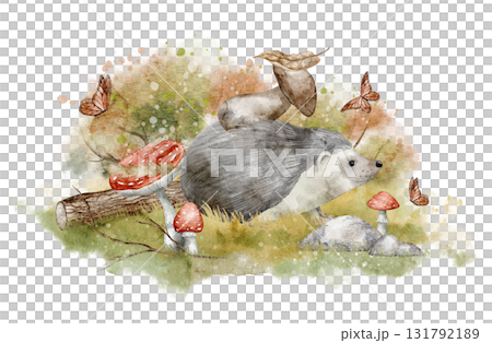 Watercolor Hedgehog among mushrooms, butterflies, and forest plants. Illustration of woodland animal for seasonal childish greeting cards or baby invitations. Art of scene with autumn plants. 131792189