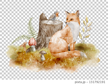 Watercolor Fox sitting by a tree Stump with bird, mushrooms, and autumn plants. Illustration of woodland animals with fall leaves for nursery posters. Drawing of forest scene for baby shower cards. Watercolor Fox sitting by a tree Stump with bird, mushrooms, and autumn plants. Illustration of woodland animals with fall leaves for nursery posters. Drawing of forest scene for baby shower cards. 131792191