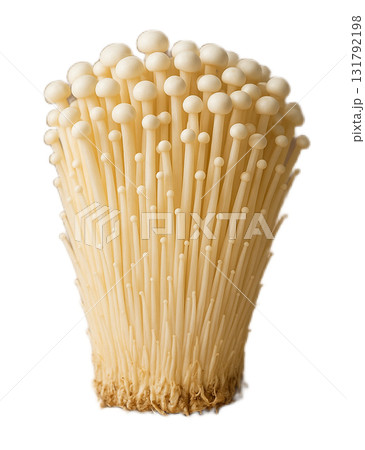 えのきだけ 131792198