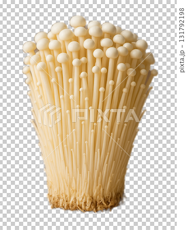 Enoki mushroom 131792198