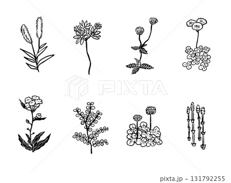 シンプルな手描き風、花の素材セット・野草 131792255