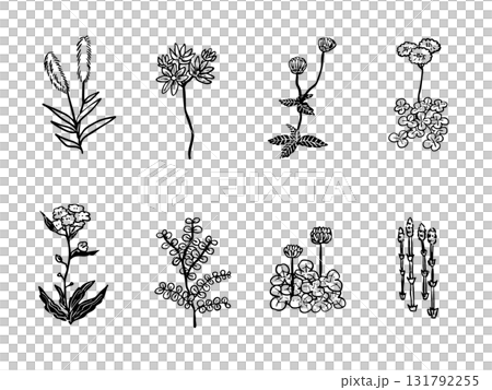 簡單的手繪風格，花卉素材集，野花 131792255