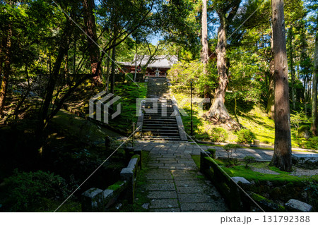 【奈良県】奈良市 霊山寺 (2025/10/07 撮影) 131792388