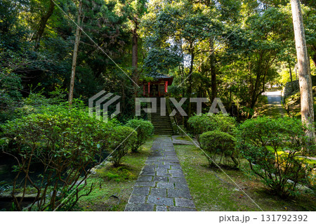 【奈良県】奈良市 霊山寺 (2025/10/07 撮影) 131792392