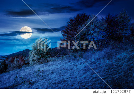 mountain landscape in autumn at night. beautiful view with trees in colorful foliage. picturesque rural place in alps in full moon light. countryside scenery 131792977