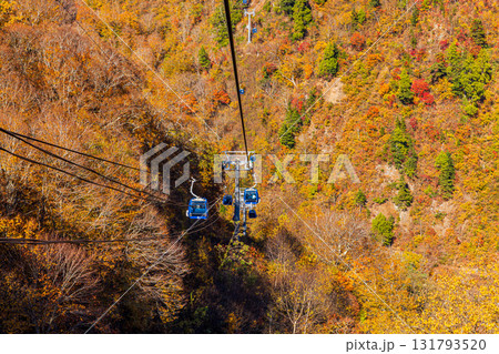新潟県 苗場ドラゴンドラからの秋景色 新潟県 苗場ドラゴンドラからの秋景色 131793520