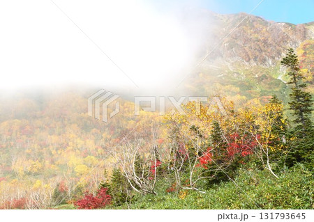 秋色に染まる栂池自然園　絶景紅葉の風景 131793645