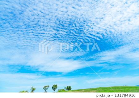 秋の雲と草原 131794916