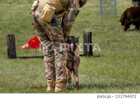 Military dog and military dog trainer, dog team Military dog and military dog trainer, dog team 131794972