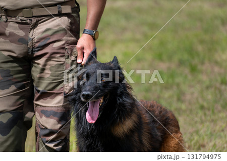 Military dog and military dog trainer, dog team Military dog and military dog trainer, dog team 131794975