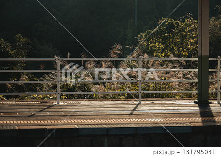 ススキなびく朝の景色【長野県】 131795031
