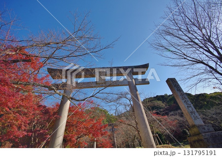 太宰府市　紅葉の竃門神社参道 131795191