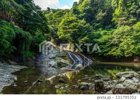 千葉県大多喜町 夏の養老渓谷 粟又の滝 131795352