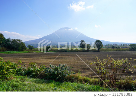 八幡駐車場から見る羊蹄山（2025年10月） 131795392