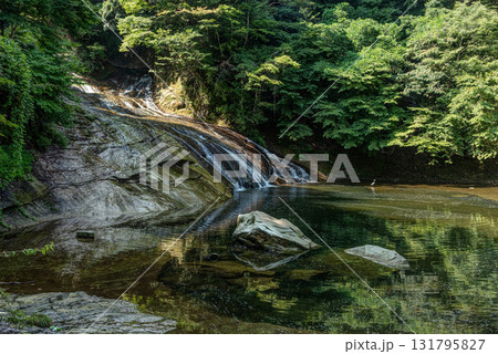 千葉県大多喜町 夏の養老渓谷 粟又の滝 131795827