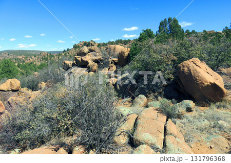 Kaibab National Forest Arizona Kaibab National Forest Arizona 131796368